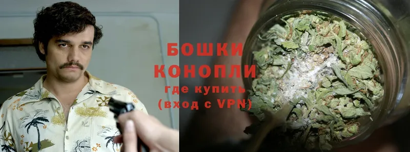 Бошки марихуана SATIVA & INDICA  продажа наркотиков  Лесосибирск 